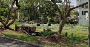 Kurilpa Commons